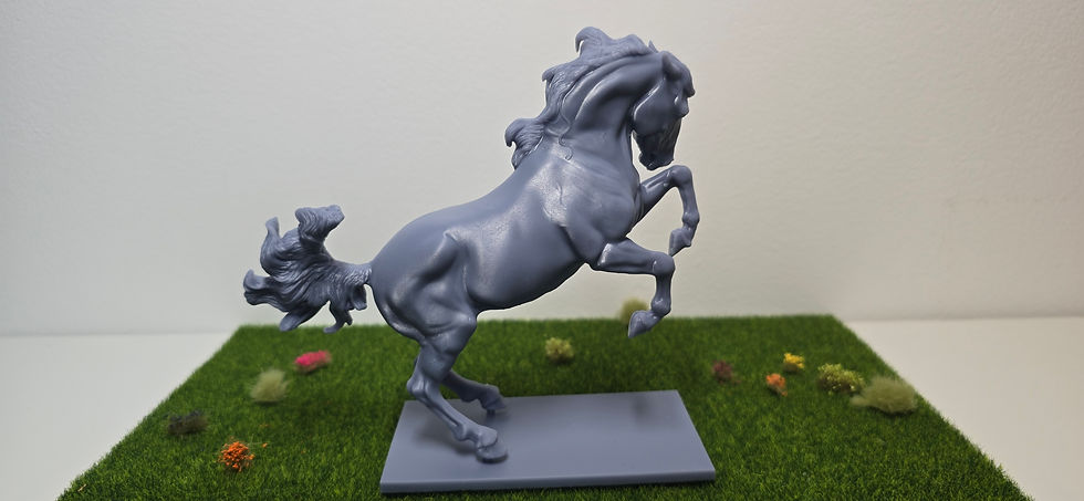 Miniaturbild: Asterope 1:20