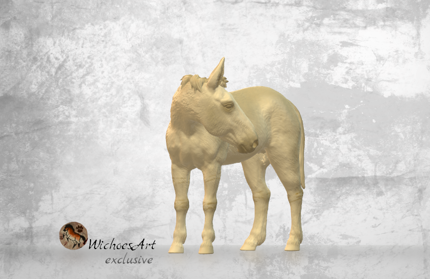 Miniaturbild: Charlotte normale Mähne | Semi-Exklusiv