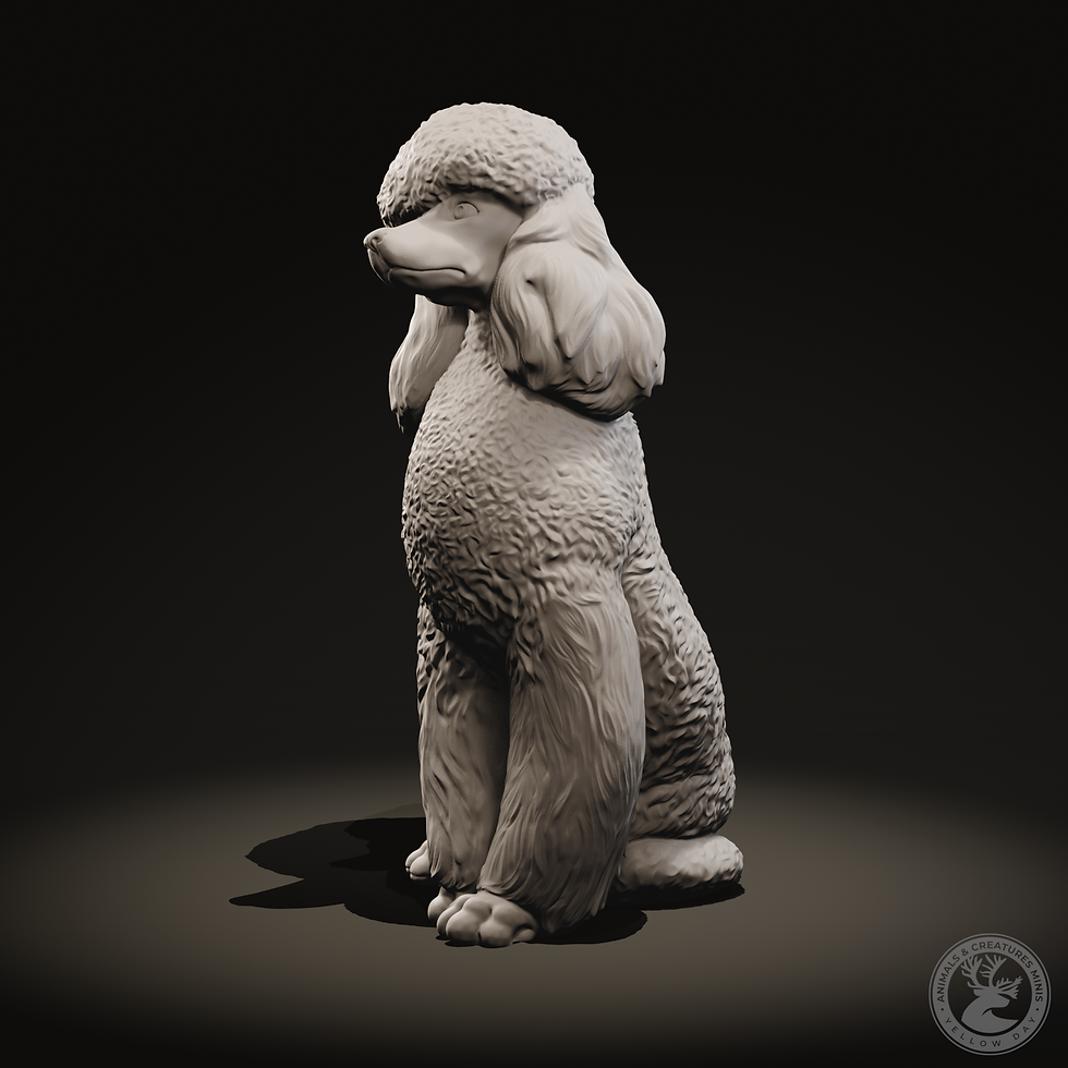 Thumbnail: Paris - Pudel