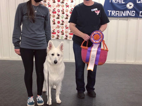 April 9, 2021: UWSC RALLY OBEDIENCE TRIALS