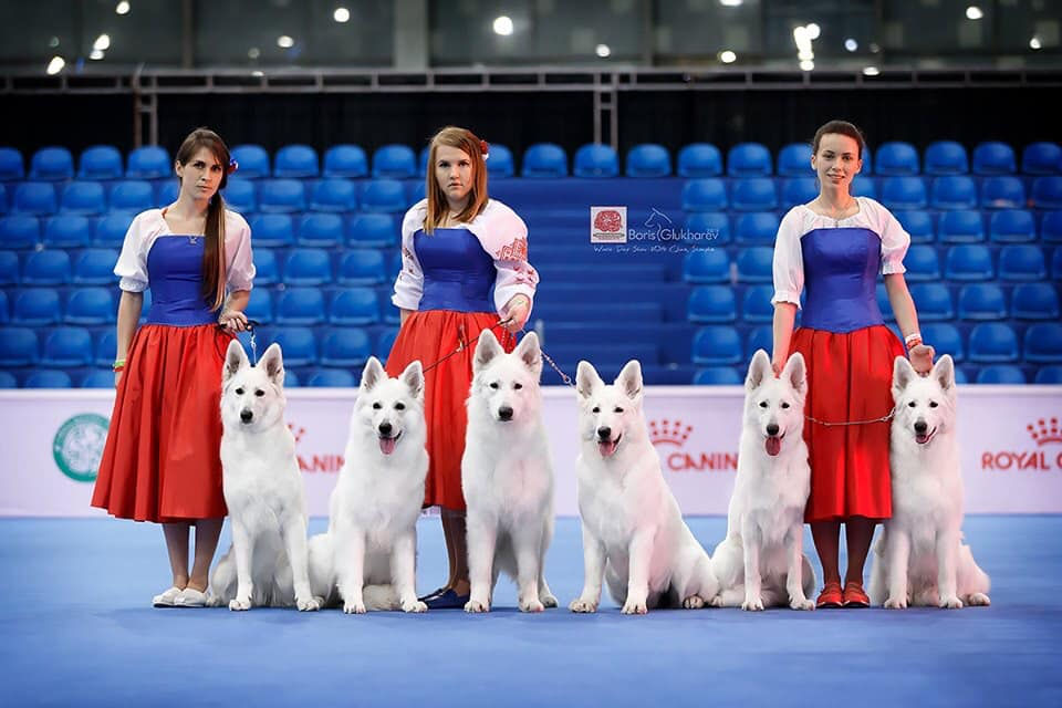 FCI WORLD DOG SHOW '19 TEAM IZBB