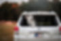 AE4I6749.jpg