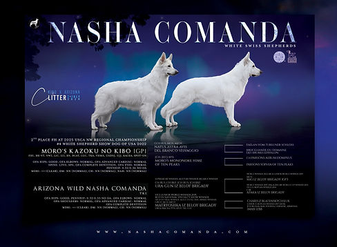 c-litter KIBO ZO-UPDATED2026.jpg