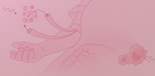 Apostolova_Icon_Section 3.jpg