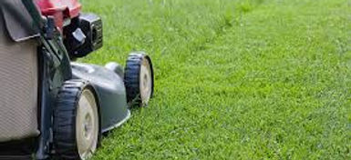 lawncare.jfif