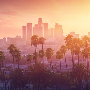Rents, Real Estate Investment, and Opportunity