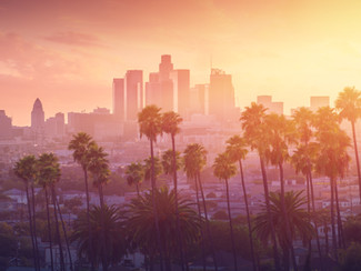Los Angeles Real Estate Market Update ---- November 2020