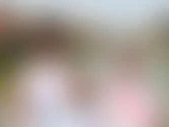 The Value of Family Travel