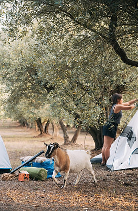 casale federica.jpeg