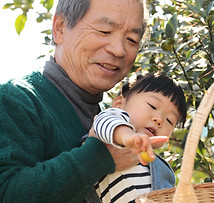 Picking Fruit