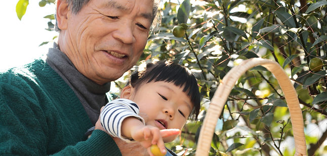 Picking Fruit