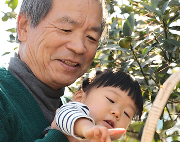 Picking Fruit