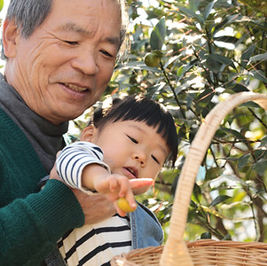 Picking Fruit