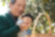 Picking Fruit