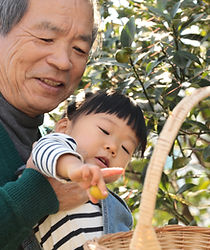 Picking Fruit