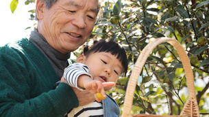 Everything You Need to Know About Required Minimum Distributions in 2024