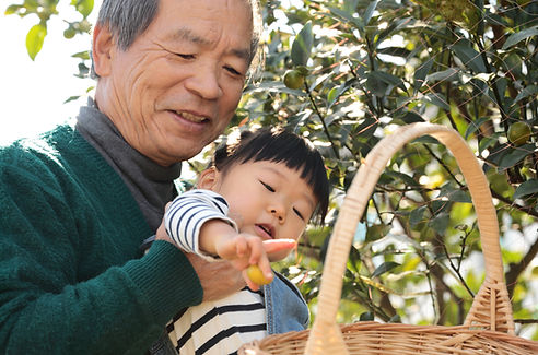 Picking Fruit