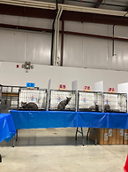 Russian Blue tradition - RoyalSterling.ca