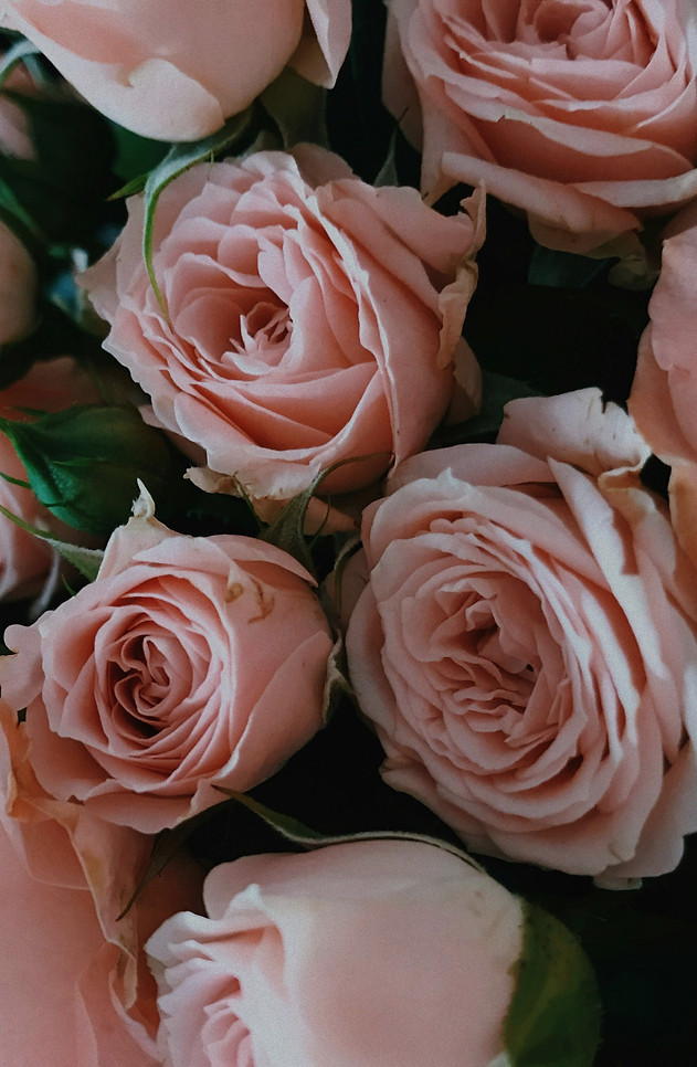 ilona-kovalkova-ktzSt2uT1po-unsplash_edited_edited.jpg