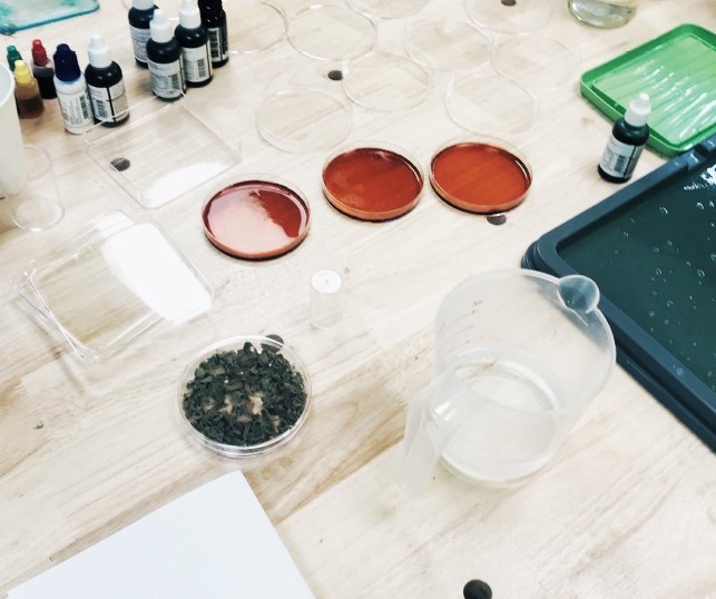 螢幕擷取畫面 2022-02-25 192035.jpg