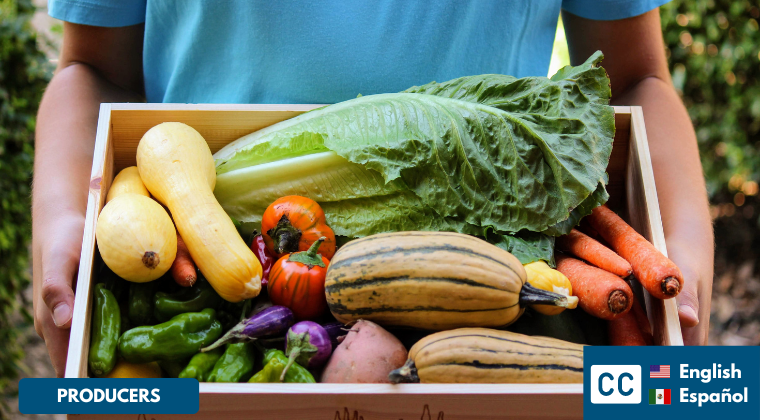 CSA for Beginners Course