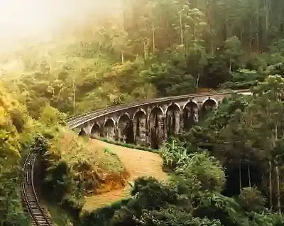 retraite de yoga au Sri Lanka plantations de thé