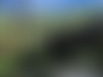 Establishment of Unit 419