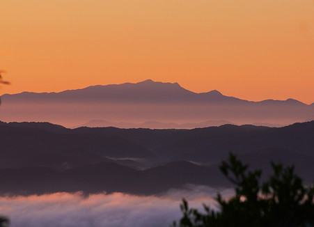 mata-atlantica-tapirai-sp