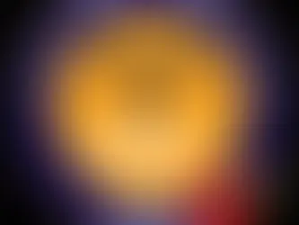 The OSC remember on Armistice Day 2025