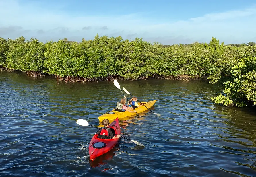 kayak (2) (1)-1.webp