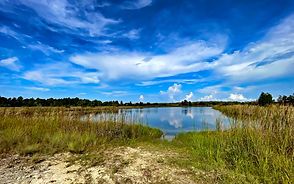 Weekiwachee Preserve Aug19-22_9347.jpg