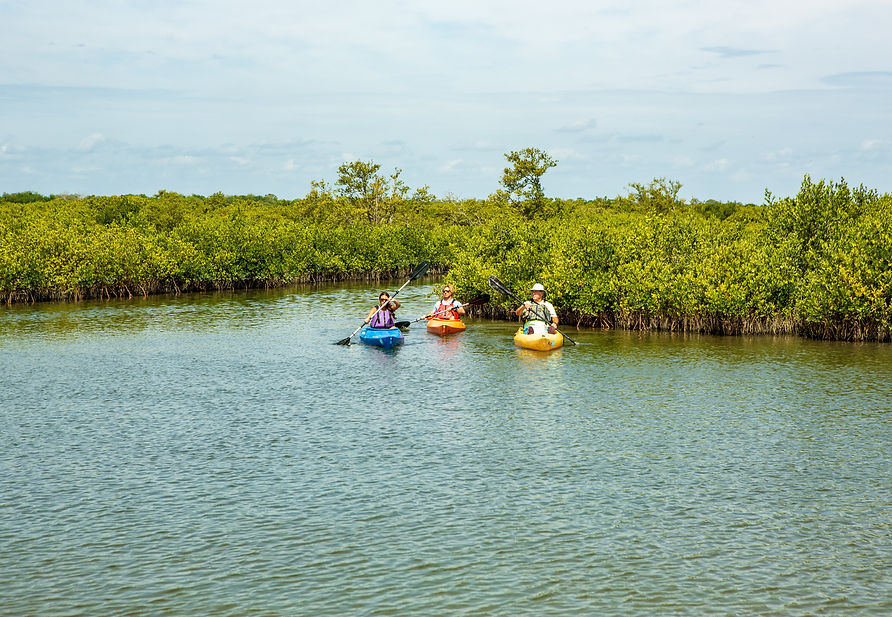 Kayakers-BO1A7649.jpg