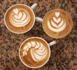 Cafè Gianduja