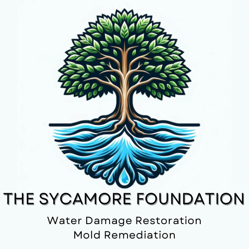 The Sycamore Foundation