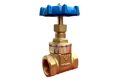 PROMO MVEQUIPAGUA (85).png