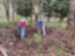 Tank Creek Preserve Workday