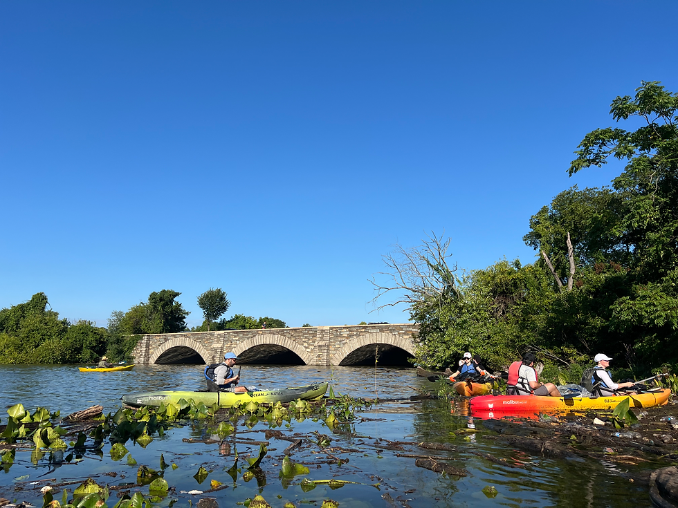 Fall Kayak Clean Up