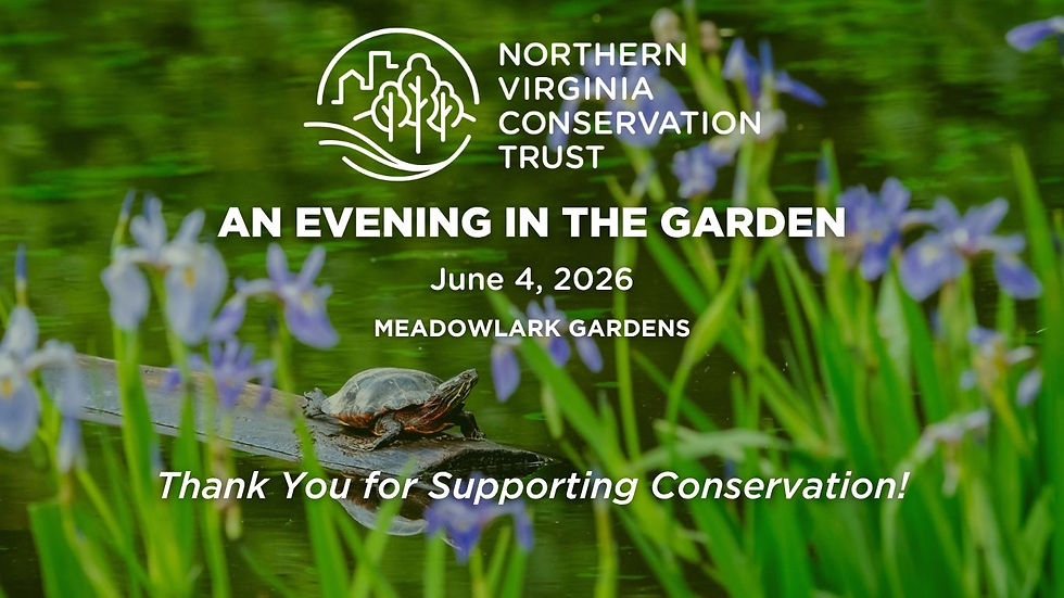 AN EVENING IN THE GARDEN Thank You Header.jpg