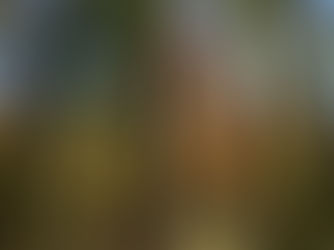 Leaf it Alone! How to Utilize Fall Foliage to Nourish Your Gardens, Lawn, and Crops!  