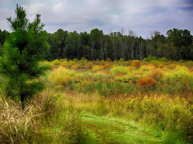 Fall Festival at Leopold's Preserve 2025