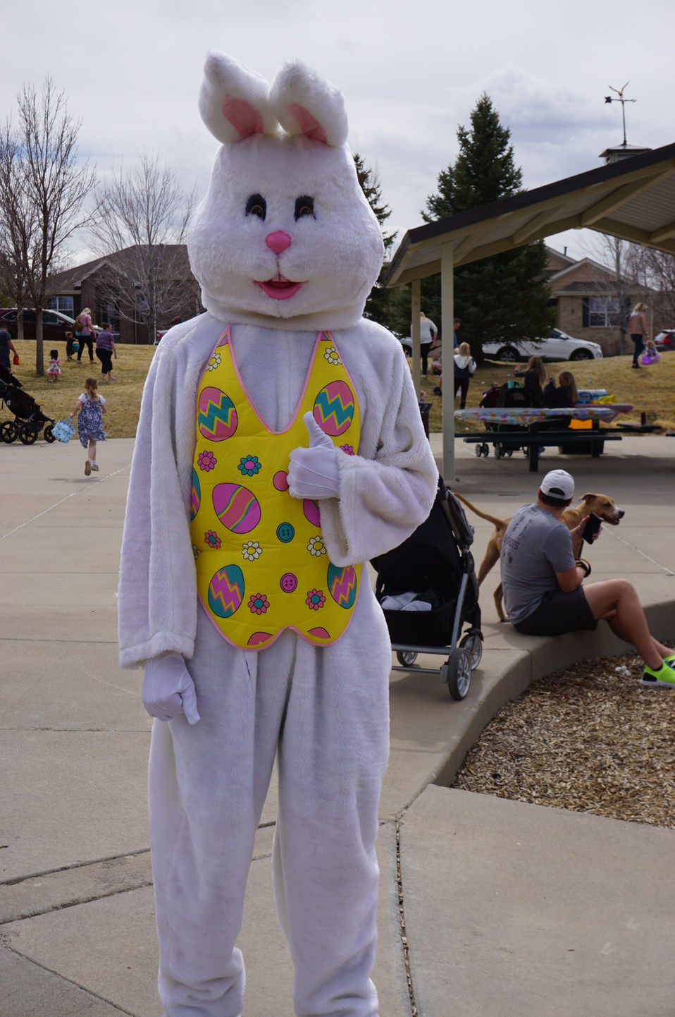 Picture of a person dressed as the Easter bunny in the Tollgate park