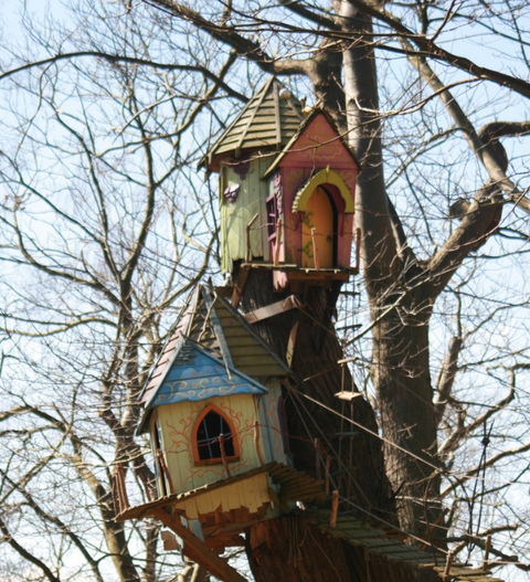 BeWILDerwood...a great adventure