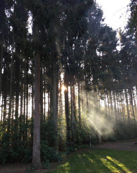 Clippesby Hall...Maybe the BEST Campsite in East Anglia