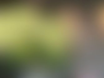 【長野市　工務店】ショールームにアジサイが咲きました🌸