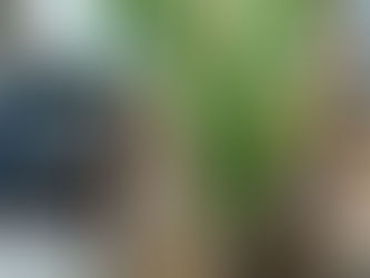 【長野市　平屋】ヴィンテージスタイルの空間づくりのすすめ