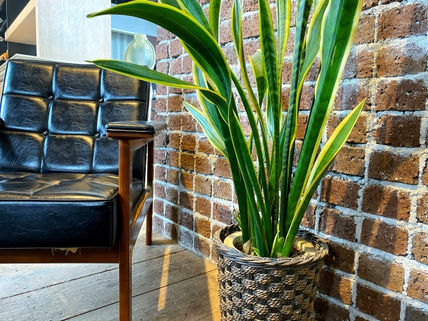 【長野市　平屋】ヴィンテージスタイルの空間づくりのすすめ