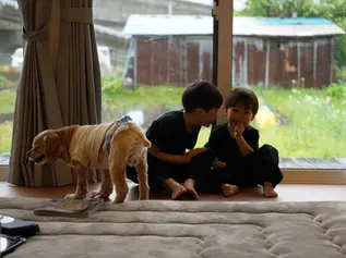 【長野市 注文住宅】あなたはどっち?2階建てと平屋の選び方