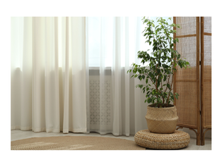 インテリア×グリーン｜“ラクして整う”グリーンのある暮らし【長野市 デザイン住宅】