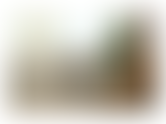 インテリア×グリーン｜“ラクして整う”グリーンのある暮らし【長野市 デザイン住宅】