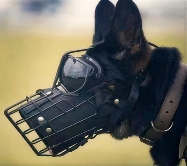 Us in Stock Stainless Steel Wire Dog Muzzle - Breathable Anti-Bite Cage Muzzle f